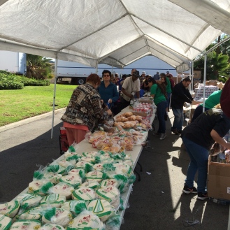 Giving away over 1,200 pounds of tortillas